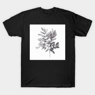 Black And White ZZ Plant Drawing Illustration T-Shirt